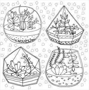 Succulents Coloring Book