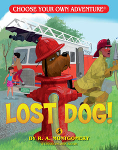 Lost Dog! - Choose Your Own Adventure Book