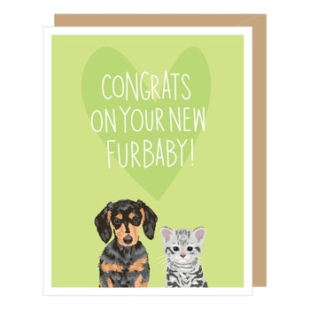 New Puppy and Kitten Congratulations Greeting Card (Apartment)