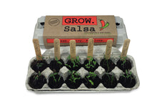 Salsa Garden Kit