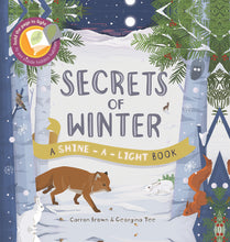 Secrets of Winter Shine a Light Book