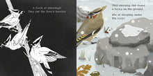 Secrets of Winter Shine a Light Book